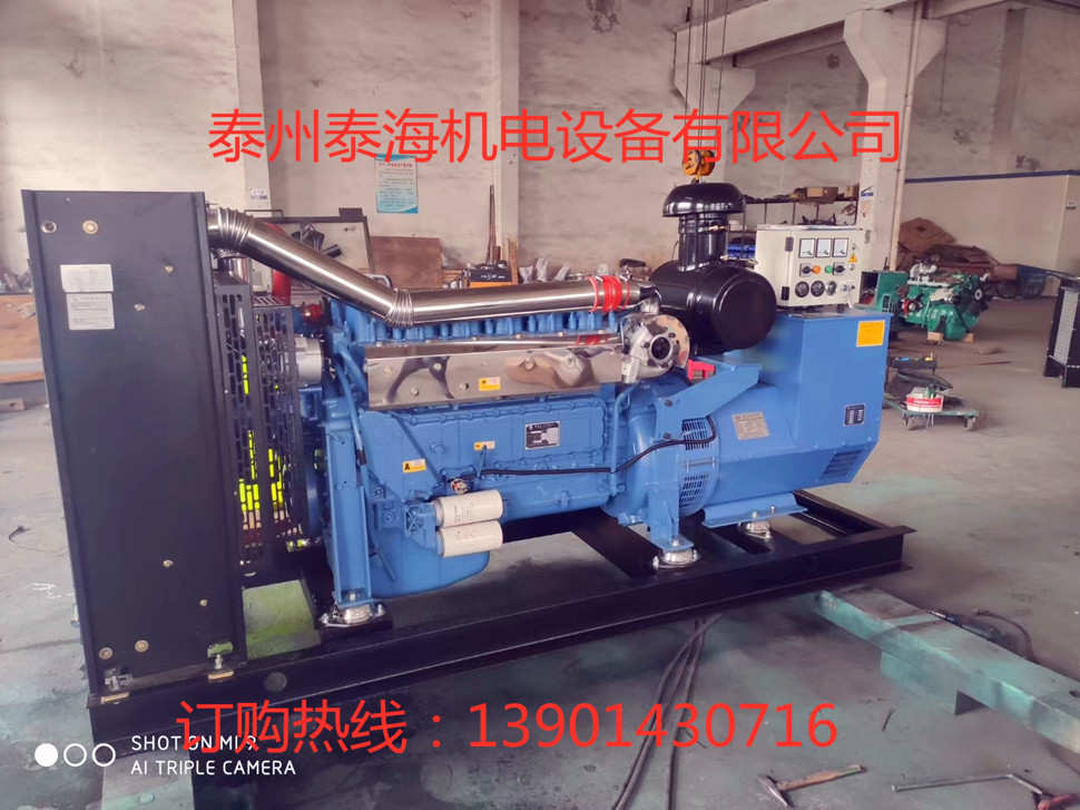 泰海機(jī)電-200kw濰柴斯太爾整裝待發(fā)